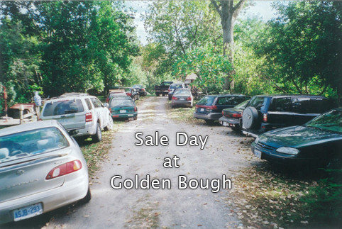 Sale Day at Golden Bough