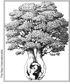 Tree picture