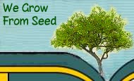 We Grow From Seed